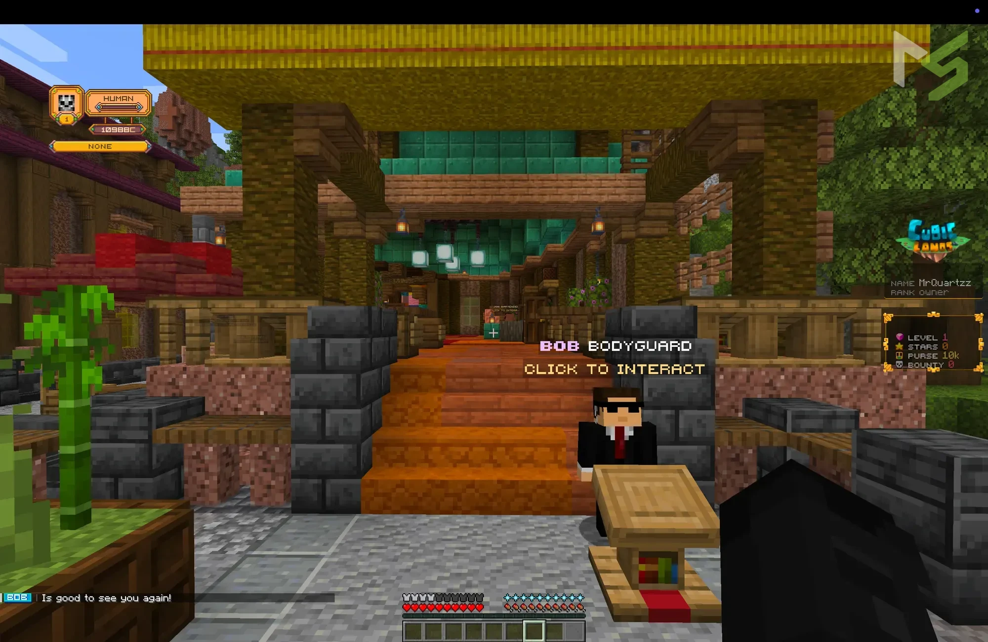 CubicLands bodyguard NPC